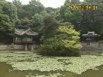 우리나라의 전통 정원