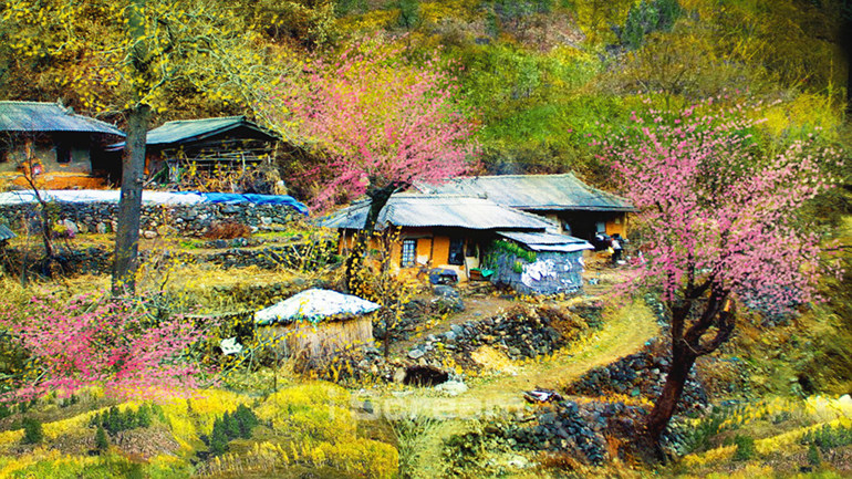 계절의 변화