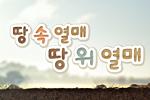 땅 속 열매, 땅 위 열매