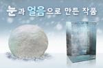 눈과 얼음으로 만든 작품
