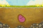 씨앗의 꿈