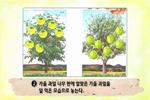 가을 과일을 따요 활동방법