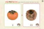 바람이 만들어 준 말린 음식